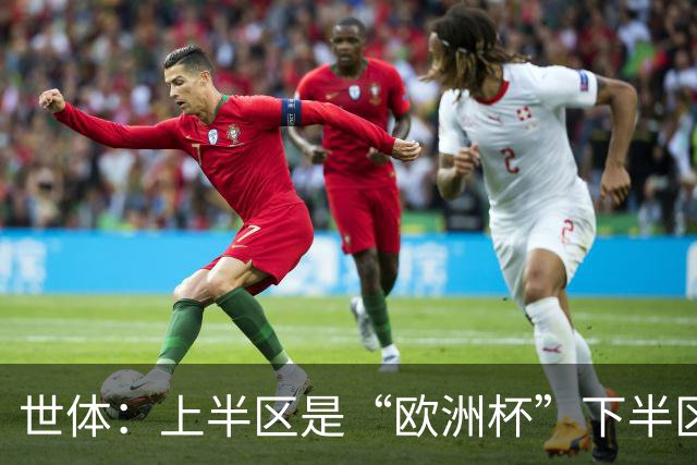 世体：上半区是“欧洲杯”下半区是“美洲杯”，英阿大战太迷人