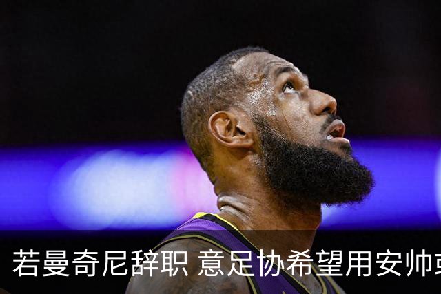 若曼奇尼辞职 意足协希望用安帅或卡纳瓦罗替代
